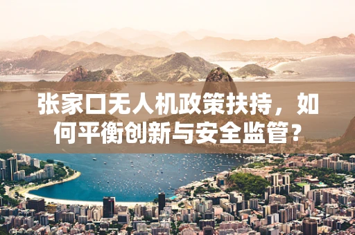 张家口无人机政策扶持，如何平衡创新与安全监管？