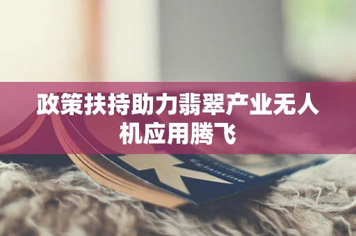 政策扶持助力翡翠产业无人机应用腾飞