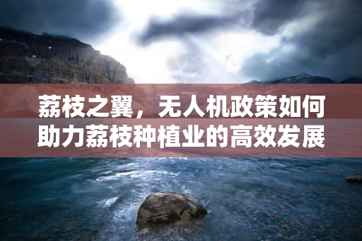荔枝之翼，无人机政策如何助力荔枝种植业的高效发展？