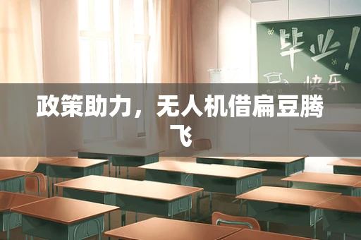 政策助力，无人机借扁豆腾飞