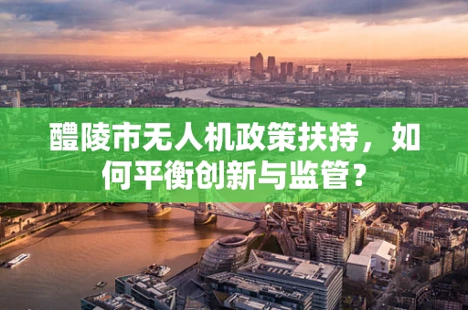 醴陵市无人机政策扶持，如何平衡创新与监管？