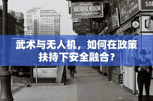 武术与无人机，如何在政策扶持下安全融合？