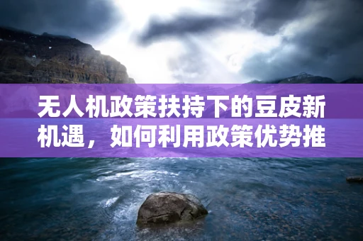 无人机政策扶持下的豆皮新机遇，如何利用政策优势推动无人机在农业监测中的创新应用？