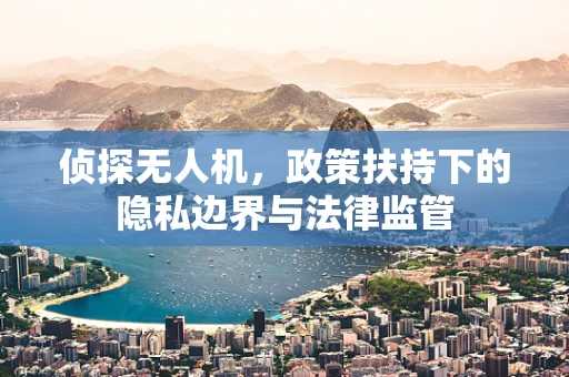 侦探无人机，政策扶持下的隐私边界与法律监管