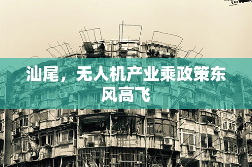 汕尾，无人机产业乘政策东风高飞