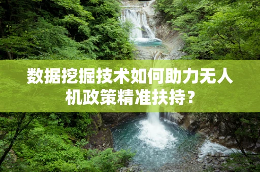 数据挖掘技术如何助力无人机政策精准扶持？