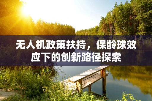 无人机政策扶持，保龄球效应下的创新路径探索
