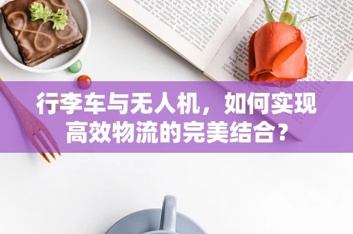 行李车与无人机，如何实现高效物流的完美结合？