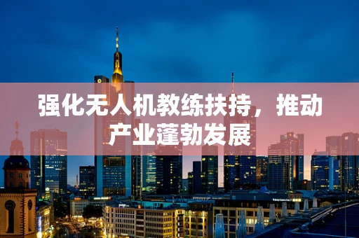 强化无人机教练扶持，推动产业蓬勃发展