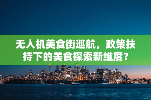 无人机美食街巡航，政策扶持下的美食探索新维度？