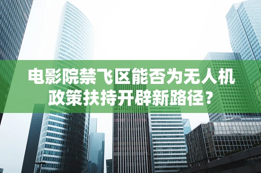 电影院禁飞区能否为无人机政策扶持开辟新路径？