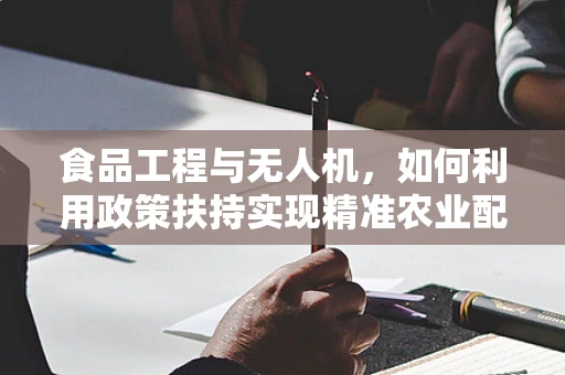 食品工程与无人机，如何利用政策扶持实现精准农业配送新模式？