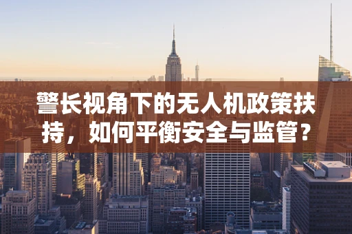 警长视角下的无人机政策扶持，如何平衡安全与监管？
