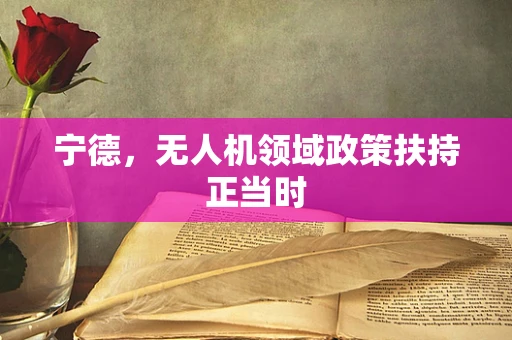 宁德，无人机领域政策扶持正当时