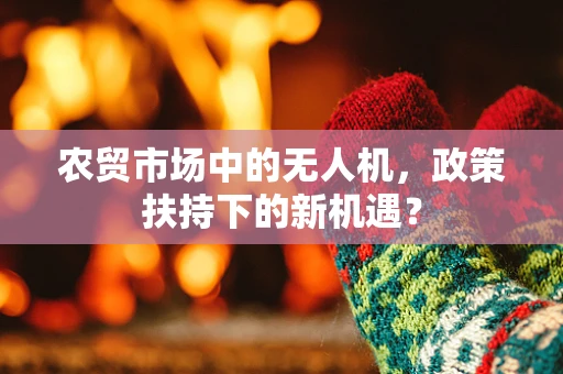 农贸市场中的无人机，政策扶持下的新机遇？