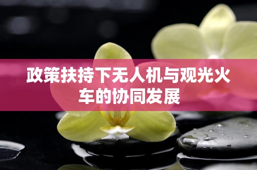 政策扶持下无人机与观光火车的协同发展