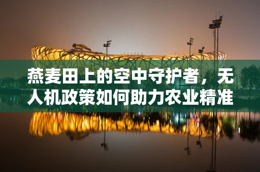 燕麦田上的空中守护者，无人机政策如何助力农业精准施肥？