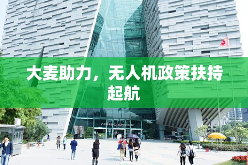 大麦助力，无人机政策扶持起航