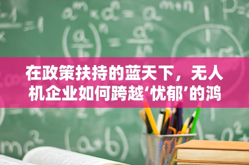 在政策扶持的蓝天下，无人机企业如何跨越‘忧郁’的鸿沟？