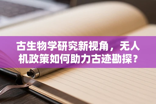 古生物学研究新视角，无人机政策如何助力古迹勘探？