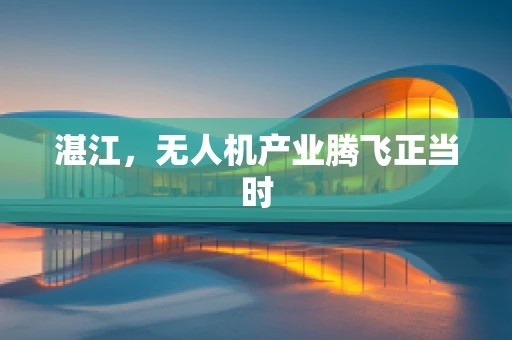 湛江，无人机产业腾飞正当时