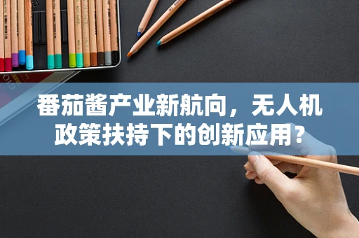 番茄酱产业新航向，无人机政策扶持下的创新应用？
