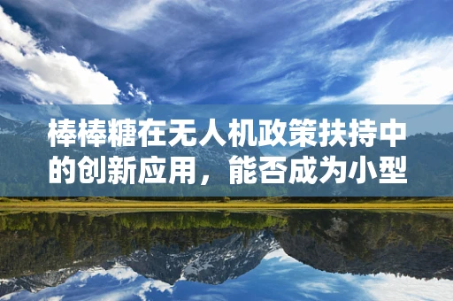 棒棒糖在无人机政策扶持中的创新应用，能否成为小型无人机精准定位的甜蜜解决方案？
