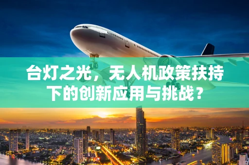 台灯之光，无人机政策扶持下的创新应用与挑战？
