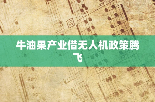 牛油果产业借无人机政策腾飞