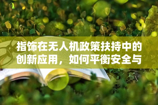 指饰在无人机政策扶持中的创新应用，如何平衡安全与个性化？