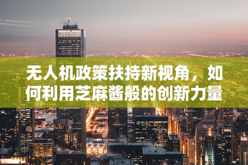 无人机政策扶持新视角，如何利用芝麻酱般的创新力量？