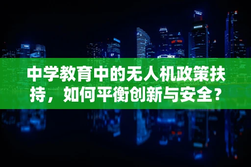 中学教育中的无人机政策扶持，如何平衡创新与安全？