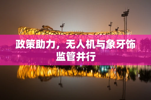 政策助力，无人机与象牙饰监管并行