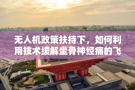 无人机政策扶持下，如何利用技术缓解坐骨神经痛的飞行挑战？