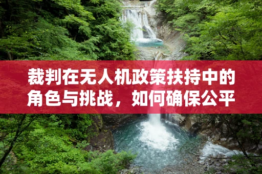 裁判在无人机政策扶持中的角色与挑战，如何确保公平与安全？