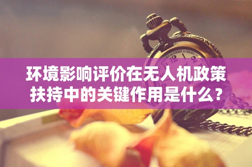 环境影响评价在无人机政策扶持中的关键作用是什么？