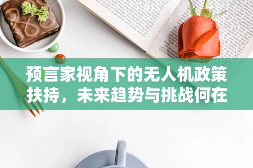 预言家视角下的无人机政策扶持，未来趋势与挑战何在？