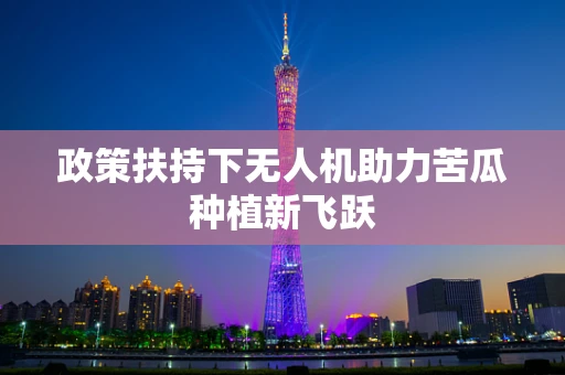 政策扶持下无人机助力苦瓜种植新飞跃