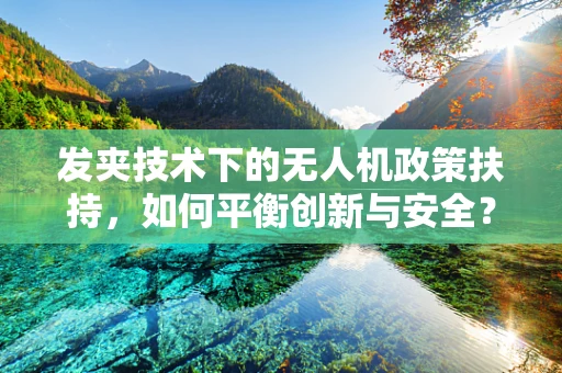 发夹技术下的无人机政策扶持，如何平衡创新与安全？