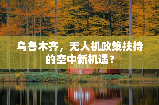 乌鲁木齐，无人机政策扶持的空中新机遇？