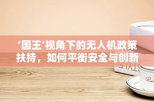 ‘国王’视角下的无人机政策扶持，如何平衡安全与创新的边界？