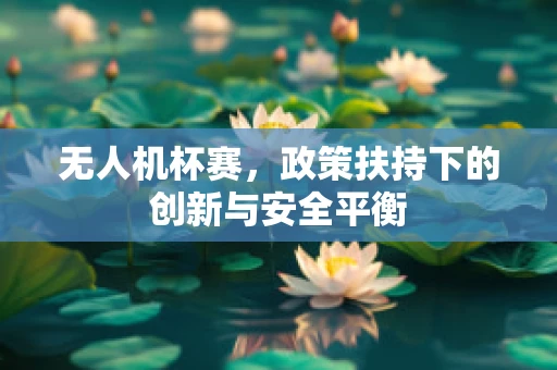 无人机杯赛，政策扶持下的创新与安全平衡