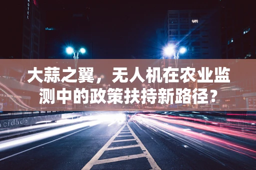 大蒜之翼，无人机在农业监测中的政策扶持新路径？