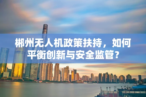郴州无人机政策扶持，如何平衡创新与安全监管？