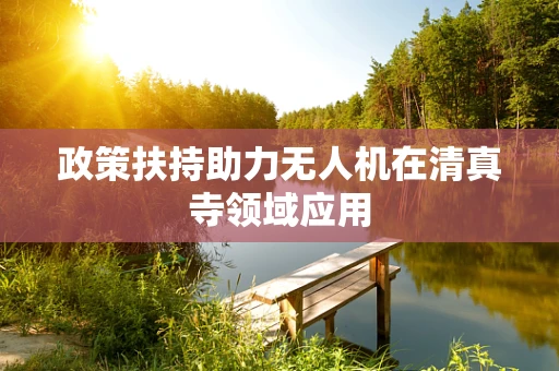 政策扶持助力无人机在清真寺领域应用