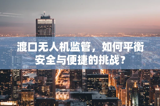 渡口无人机监管，如何平衡安全与便捷的挑战？