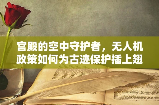 宫殿的空中守护者，无人机政策如何为古迹保护插上翅膀？