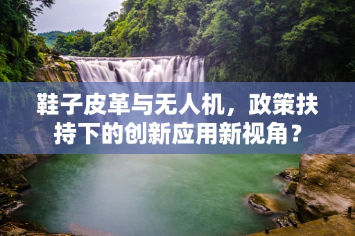 鞋子皮革与无人机，政策扶持下的创新应用新视角？