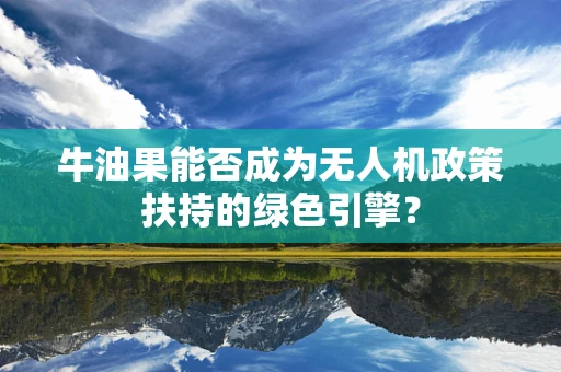 牛油果能否成为无人机政策扶持的绿色引擎？