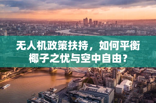 无人机政策扶持，如何平衡椰子之忧与空中自由？